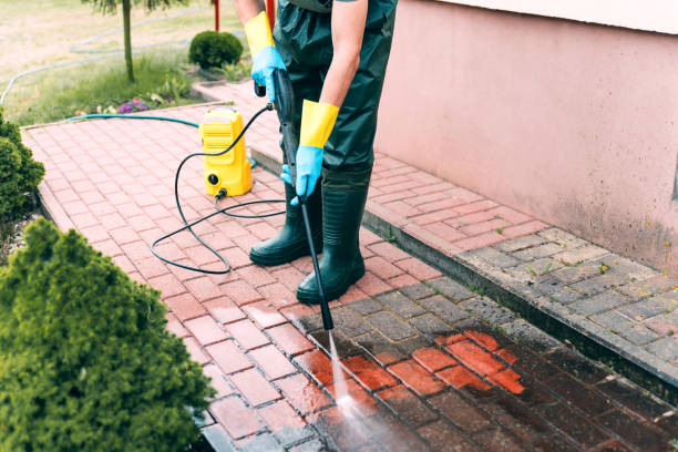 Best Gutter Cleaning and Brightening in Ferndale, CA