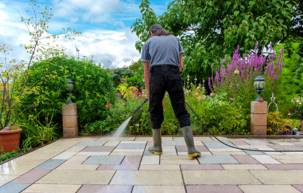 Best Roof Cleaning and Mildew Removal in Ferndale, CA