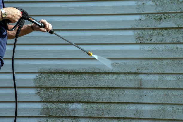 Best Driveway Cleaning and Restoration in Ferndale, CA